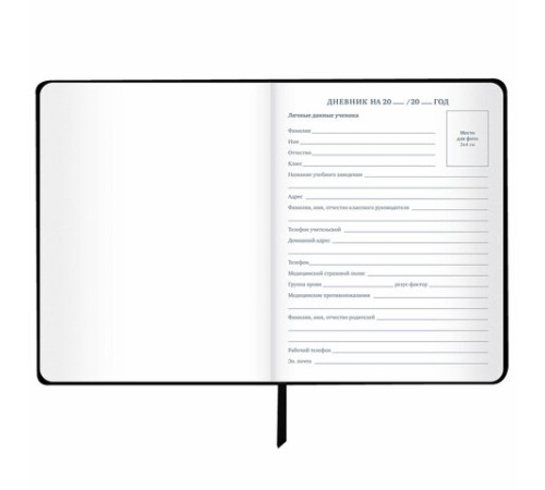 Дневник 1-11 класс 48 л., кожзам (гибкая), печать, фольга, BRAUBERG, 