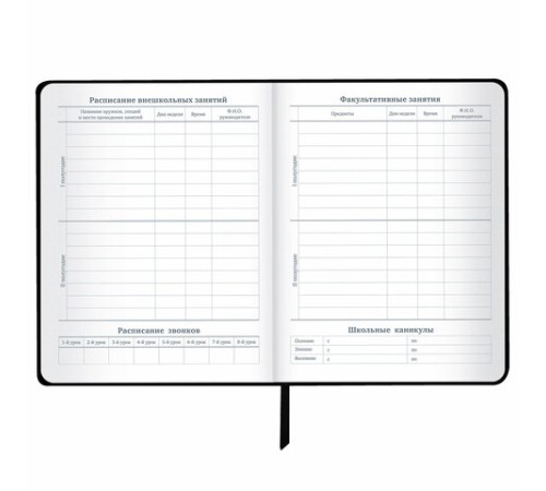 Дневник 1-11 класс 48 л., кожзам (гибкая), печать, фольга, BRAUBERG, 