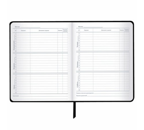 Дневник 1-11 класс 48 л., кожзам (гибкая), печать, фольга, BRAUBERG, 