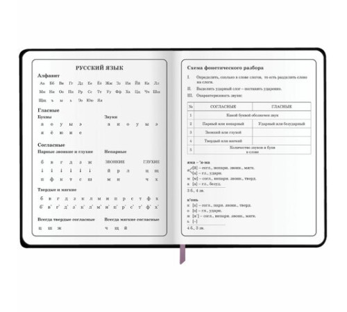 Дневник 1-4 класс 48 л., кожзам (гибкая), печать, фольга, ЮНЛАНДИЯ, 