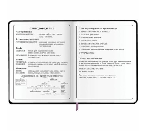 Дневник 1-4 класс 48 л., кожзам (гибкая), печать, фольга, ЮНЛАНДИЯ, 