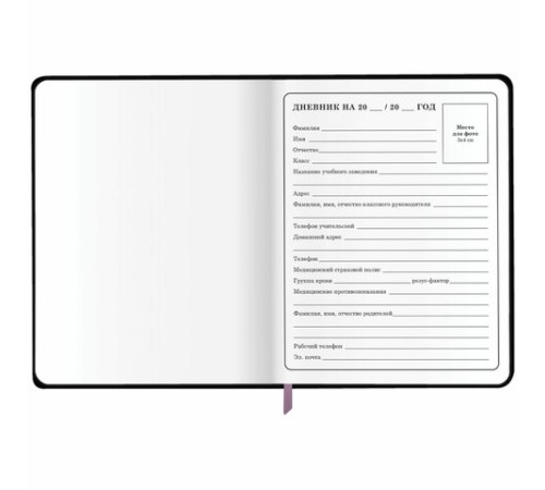 Дневник 1-4 класс 48 л., кожзам (гибкая), печать, фольга, ЮНЛАНДИЯ, 