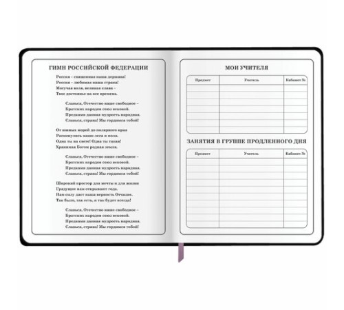 Дневник 1-4 класс 48 л., кожзам (гибкая), печать, фольга, ЮНЛАНДИЯ, 