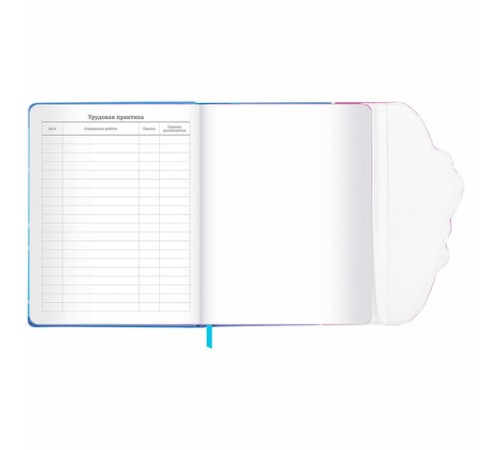 Дневник 1-11 класс 48 л., кожзам (твердая), магнитный клапан, ЮНЛАНДИЯ, 