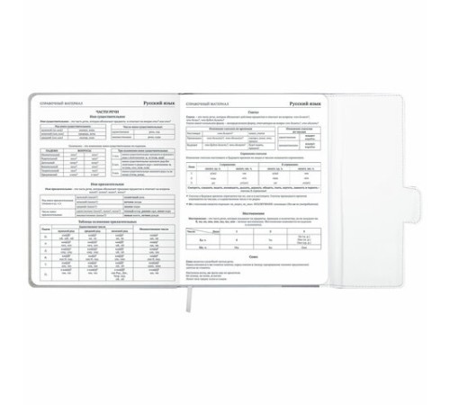 Дневник 1-11 класс 48 л., кожзам (твердая), магнитный клапан, ЮНЛАНДИЯ, 