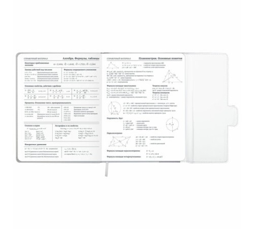 Дневник 1-11 класс 48 л., кожзам (твердая), магнитный клапан, ЮНЛАНДИЯ, 