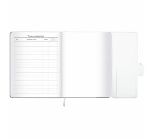 Дневник 1-11 класс 48 л., кожзам (твердая), магнитный клапан, ЮНЛАНДИЯ, 