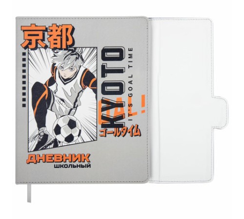 Дневник 1-11 класс 48 л., кожзам (твердая), магнитный клапан, ЮНЛАНДИЯ, 