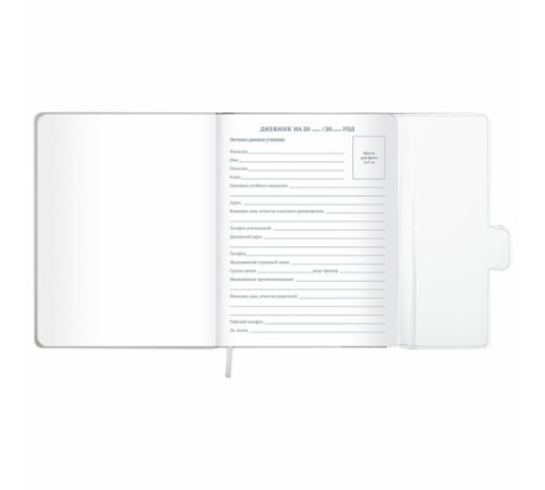 Дневник 1-11 класс 48 л., кожзам (твердая), магнитный клапан, ЮНЛАНДИЯ, 