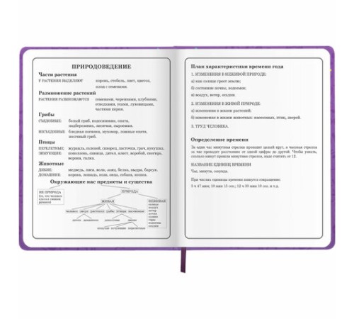 Дневник 1-4 класс 48 л., кожзам (твердая), 3D-элемент, ЮНЛАНДИЯ, 