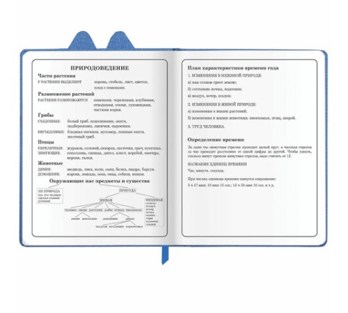 Дневник 1-4 класс 48 л., кожзам (твердая с поролоном), фигурный край, ЮНЛАНДИЯ, 