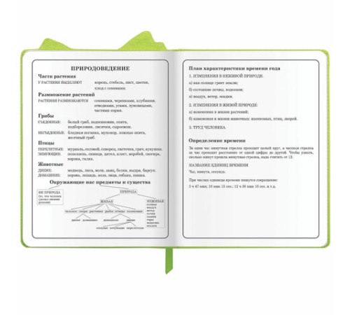 Дневник 1-4 класс 48 л., кожзам (твердая с поролоном), фигурный край, ЮНЛАНДИЯ, 