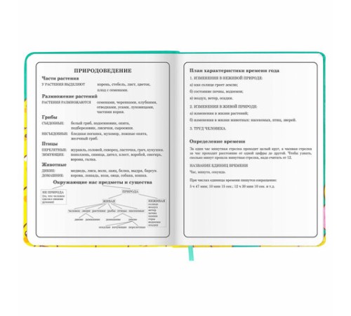 Дневник 1-4 класс 48 л., кожзам (твердая с поролоном), печать, аппликация, ЮНЛАНДИЯ, 