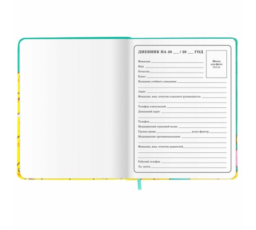 Дневник 1-4 класс 48 л., кожзам (твердая с поролоном), печать, аппликация, ЮНЛАНДИЯ, 