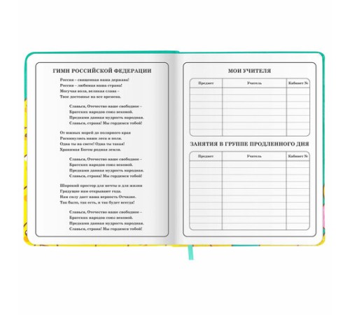 Дневник 1-4 класс 48 л., кожзам (твердая с поролоном), печать, аппликация, ЮНЛАНДИЯ, 