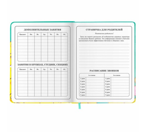 Дневник 1-4 класс 48 л., кожзам (твердая с поролоном), печать, аппликация, ЮНЛАНДИЯ, 