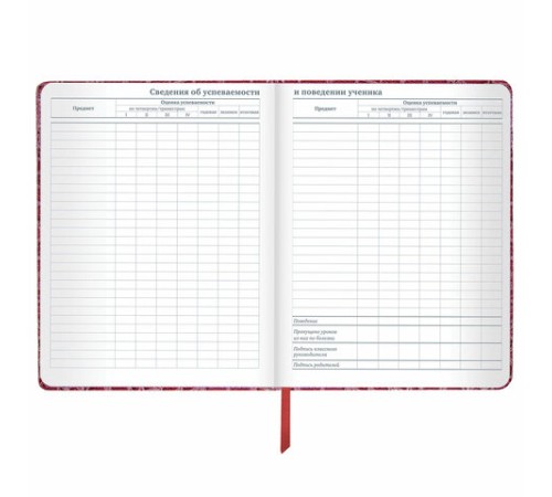 Дневник 1-11 класс 48 л., кожзам (твердая с поролоном), нашивка, BRAUBERG 