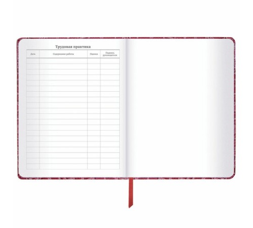 Дневник 1-11 класс 48 л., кожзам (твердая с поролоном), нашивка, BRAUBERG 