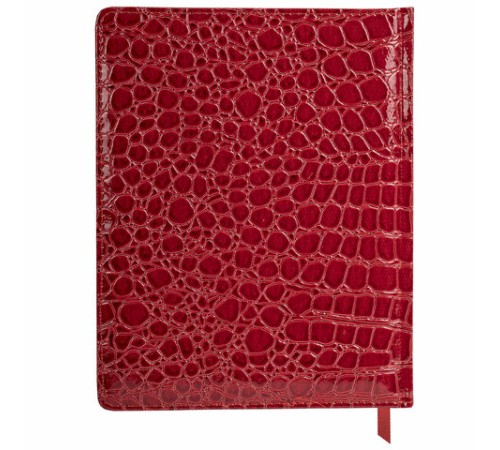 Дневник 1-11 класс 48 л., кожзам (твердая с поролоном), нашивка, BRAUBERG 