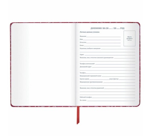 Дневник 1-11 класс 48 л., кожзам (твердая с поролоном), нашивка, BRAUBERG 