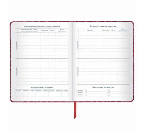 Дневник 1-11 класс 48 л., кожзам (твердая с поролоном), нашивка, BRAUBERG 