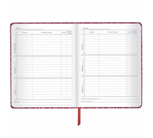 Дневник 1-11 класс 48 л., кожзам (твердая с поролоном), нашивка, BRAUBERG 