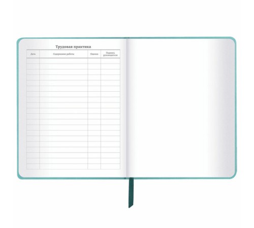 Дневник 1-11 класс 48 л., кожзам (твердая с поролоном), тиснение, аппликация, BRAUBERG, 