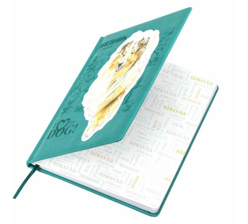 Дневник 1-11 класс 48 л., кожзам (твердая с поролоном), тиснение, аппликация, BRAUBERG, 