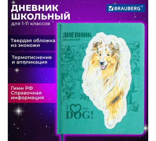 Дневник 1-11 класс 48 л., кожзам (твердая с поролоном), тиснение, аппликация, BRAUBERG, 