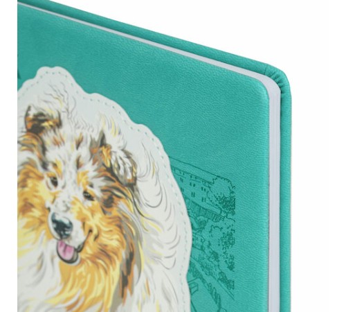 Дневник 1-11 класс 48 л., кожзам (твердая с поролоном), тиснение, аппликация, BRAUBERG, 