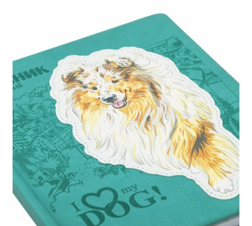 Дневник 1-11 класс 48 л., кожзам (твердая с поролоном), тиснение, аппликация, BRAUBERG, 