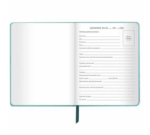 Дневник 1-11 класс 48 л., кожзам (твердая с поролоном), тиснение, аппликация, BRAUBERG, 