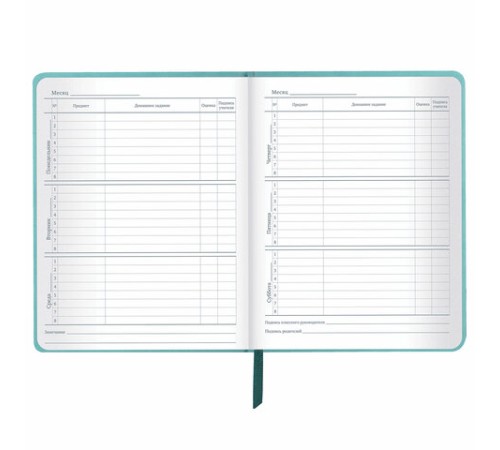 Дневник 1-11 класс 48 л., кожзам (твердая с поролоном), тиснение, аппликация, BRAUBERG, 