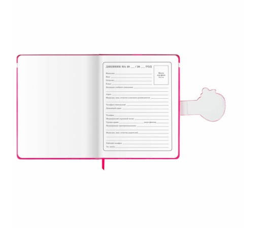 Дневник 1-4 класс 48 л., кожзам (твердая), застежка, ЮНЛАНДИЯ, 