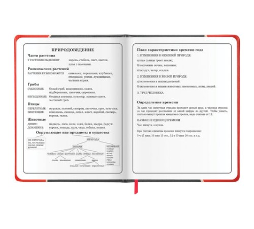 Дневник 1-4 класс 48 л., кожзам (твердая с поролоном), печать, наклейки, ЮНЛАНДИЯ, 