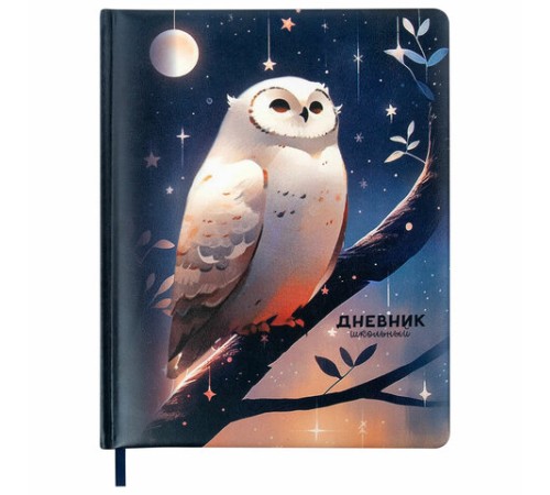 Дневник 1-11 класс 48 л., кожзам (твердая с поролоном), печать, наклейки, BRAUBERG, 