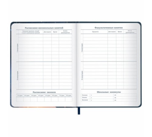 Дневник 1-11 класс 48 л., кожзам (твердая с поролоном), печать, наклейки, BRAUBERG, 