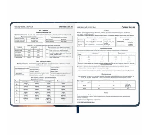 Дневник 1-11 класс 48 л., кожзам (твердая с поролоном), печать, наклейки, BRAUBERG, 