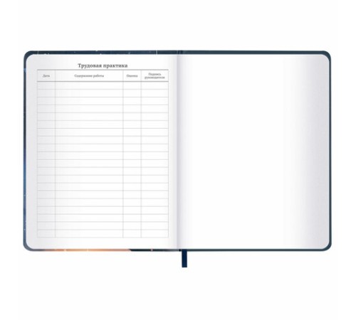 Дневник 1-11 класс 48 л., кожзам (твердая с поролоном), печать, наклейки, BRAUBERG, 