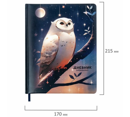 Дневник 1-11 класс 48 л., кожзам (твердая с поролоном), печать, наклейки, BRAUBERG, 