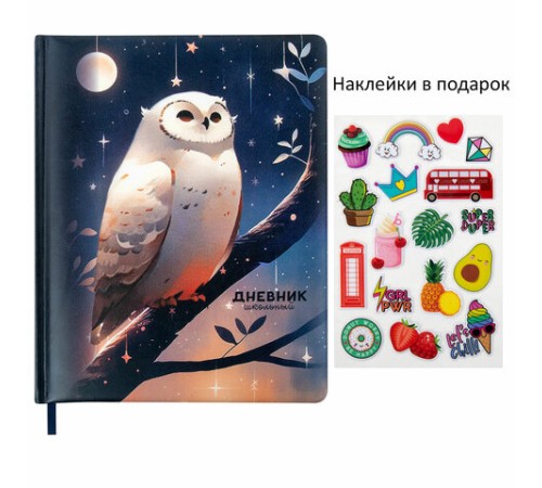 Дневник 1-11 класс 48 л., кожзам (твердая с поролоном), печать, наклейки, BRAUBERG, 