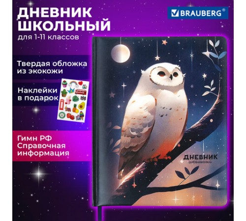 Дневник 1-11 класс 48 л., кожзам (твердая с поролоном), печать, наклейки, BRAUBERG, 