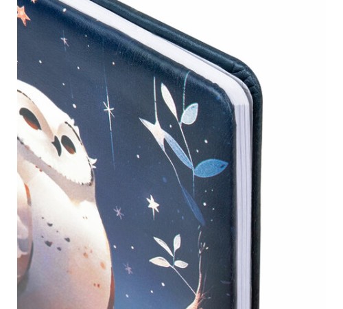 Дневник 1-11 класс 48 л., кожзам (твердая с поролоном), печать, наклейки, BRAUBERG, 