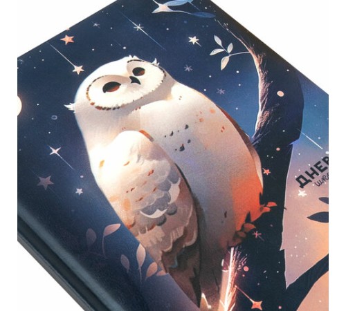 Дневник 1-11 класс 48 л., кожзам (твердая с поролоном), печать, наклейки, BRAUBERG, 