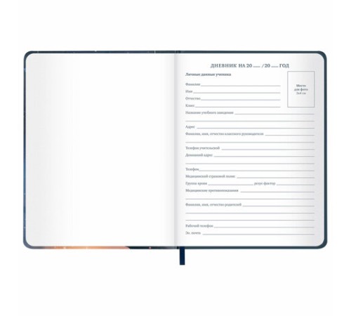 Дневник 1-11 класс 48 л., кожзам (твердая с поролоном), печать, наклейки, BRAUBERG, 
