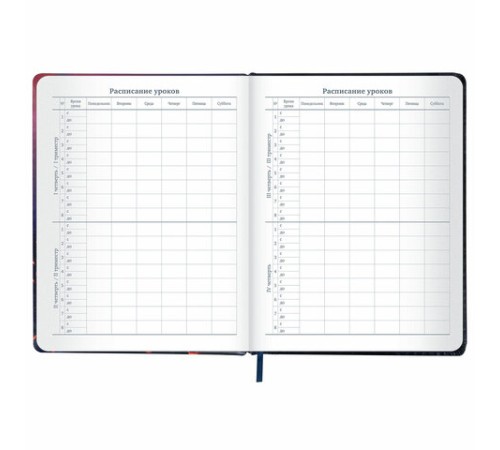 Дневник 1-11 класс 48 л., кожзам (твердая с поролоном), печать, резинка, конверт, BRAUBERG, 