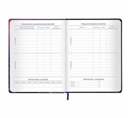 Дневник 1-11 класс 48 л., кожзам (твердая с поролоном), печать, резинка, конверт, BRAUBERG, 