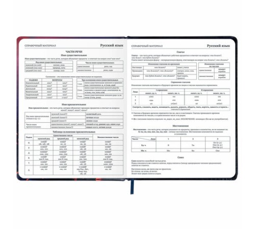 Дневник 1-11 класс 48 л., кожзам (твердая с поролоном), печать, резинка, конверт, BRAUBERG, 