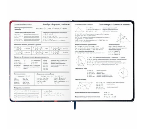 Дневник 1-11 класс 48 л., кожзам (твердая с поролоном), печать, резинка, конверт, BRAUBERG, 