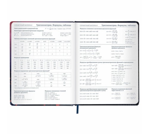 Дневник 1-11 класс 48 л., кожзам (твердая с поролоном), печать, резинка, конверт, BRAUBERG, 